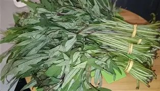 Matembele - Vegetables fresh GENGE ONLINE